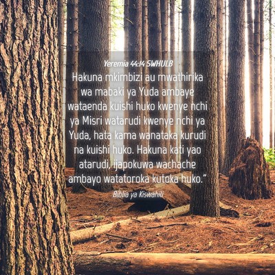 Picture 04 - Yeremia 44:14 SWHULB - Hakuna mkimbizi au mwathirika wa mabaki ya Yuda - Bible Verse Picture
