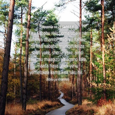 Picture 04 - Yeremia 44:23 SWHULB - Kwa sababu mlichoma ubani na kufanya dhambi dhidi - Bible Verse Picture