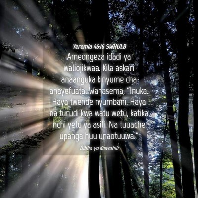 Picture 04 - Yeremia 46:16 SWHULB - Ameongeza idadi ya waliojikwaa. Kila askari - Bible Verse Picture