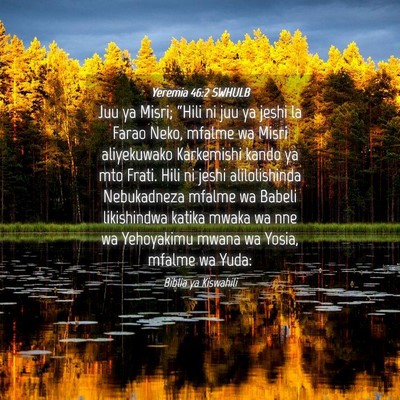 Picture 04 - Yeremia 46:2 SWHULB - Juu ya Misri; “Hili ni juu ya jeshi la Farao - Bible Verse Picture