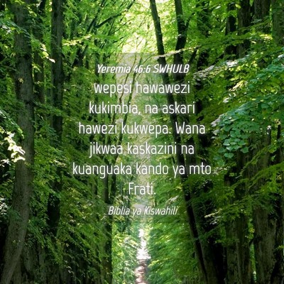 Picture 04 - Yeremia 46:6 SWHULB - wepesi hawawezi kukimbia, na askari hawezi - Bible Verse Picture