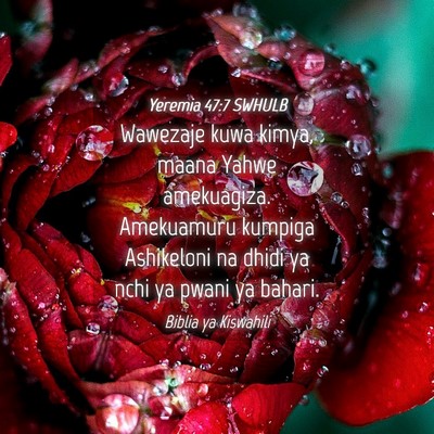 Picture 04 - Yeremia 47:7 SWHULB - Wawezaje kuwa kimya, maana Yahwe amekuagiza. - Bible Verse Picture