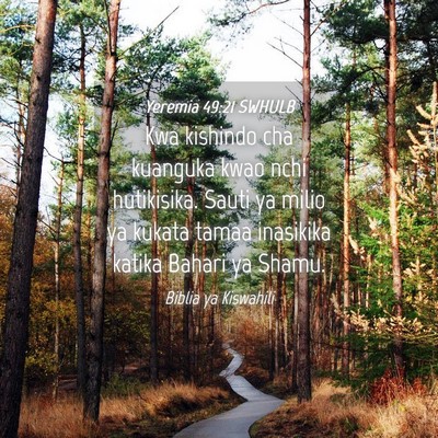 Picture 04 - Yeremia 49:21 SWHULB - Kwa kishindo cha kuanguka kwao nchi hutikisika. - Bible Verse Picture