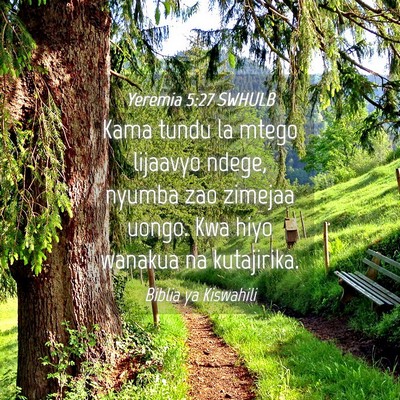 Picture 04 - Yeremia 5:27 SWHULB - Kama tundu la mtego lijaavyo ndege, nyumba zao - Bible Verse Picture