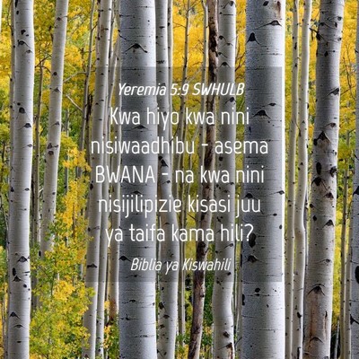 Picture 04 - Yeremia 5:9 SWHULB - Kwa hiyo kwa nini nisiwaadhibu - asema BWANA - na - Bible Verse Picture