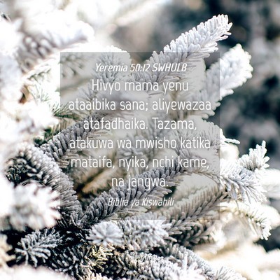 Picture 04 - Yeremia 50:12 SWHULB - Hivyo mama yenu ataaibika sana; aliyewazaa - Bible Verse Picture