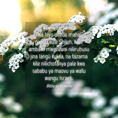 Picture 04 - Yeremia 7:12 SWHULB - Kwa hiyo uende mahali pangu kule Shiloh, Kule - Bible Verse Picture