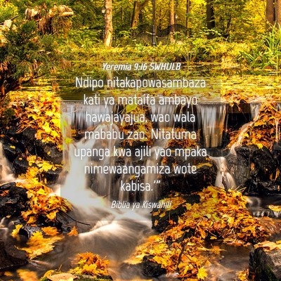 Picture 04 - Yeremia 9:16 SWHULB - Ndipo nitakapowasambaza kati ya mataifa ambayo - Bible Verse Picture