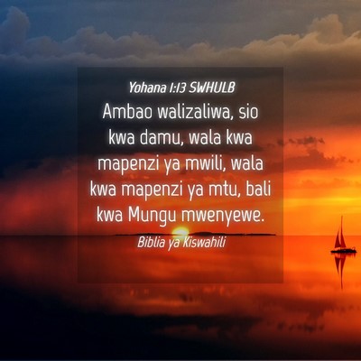 Picture 04 - Yohana 1:13 SWHULB - Ambao walizaliwa, sio kwa damu, wala kwa mapenzi - Bible Verse Picture