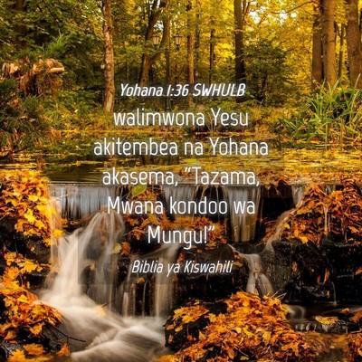 Picture 04 - Yohana 1:36 SWHULB - walimwona Yesu akitembea na Yohana akasema, - Bible Verse Picture