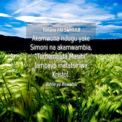 Picture 04 - Yohana 1:41 SWHULB - Akamwona ndugu yake Simoni na akamwambia, - Bible Verse Picture