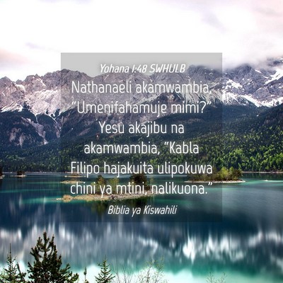 Picture 04 - Yohana 1:48 SWHULB - Nathanaeli akamwambia, “Umenifahamuje mimi?” - Bible Verse Picture