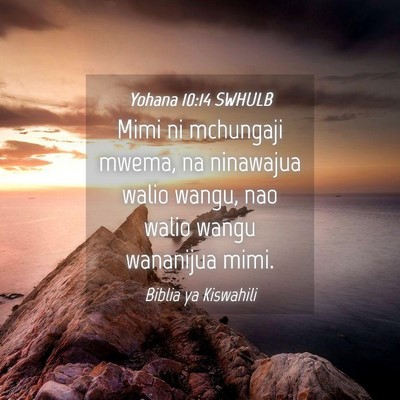 Picture 04 - Yohana 10:14 SWHULB - Mimi ni mchungaji mwema, na ninawajua walio - Bible Verse Picture