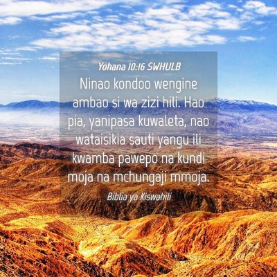 Picture 04 - Yohana 10:16 SWHULB - Ninao kondoo wengine ambao si wa zizi hili. Hao - Bible Verse Picture