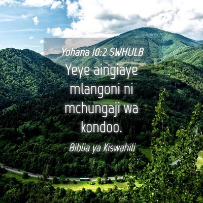 Picture 04 - Yohana 10:2 SWHULB - Yeye aingiaye mlangoni ni mchungaji wa - Bible Verse Picture