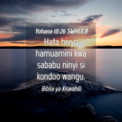 Picture 04 - Yohana 10:26 SWHULB - Hata hivyo hamuamini kwa sababu ninyi si kondoo - Bible Verse Picture