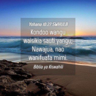 Picture 04 - Yohana 10:27 SWHULB - Kondoo wangu waisikia sauti yangu; Nawajua, nao - Bible Verse Picture