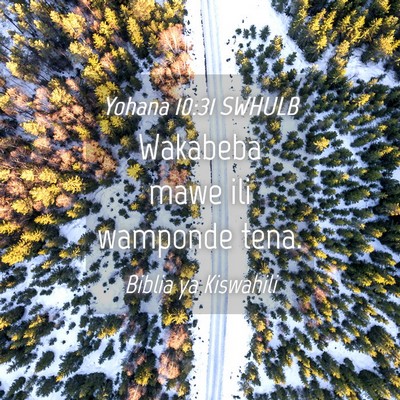 Picture 04 - Yohana 10:31 SWHULB - Wakabeba mawe ili wamponde - Bible Verse Picture
