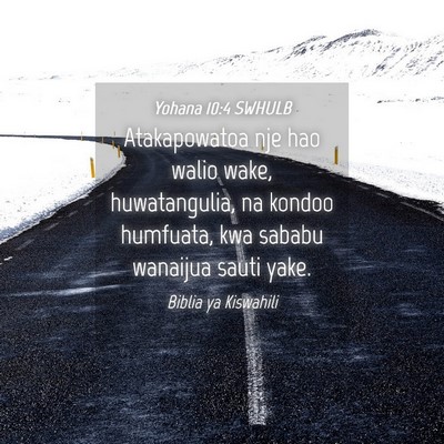 Picture 04 - Yohana 10:4 SWHULB - Atakapowatoa nje hao walio wake, huwatangulia, na - Bible Verse Picture