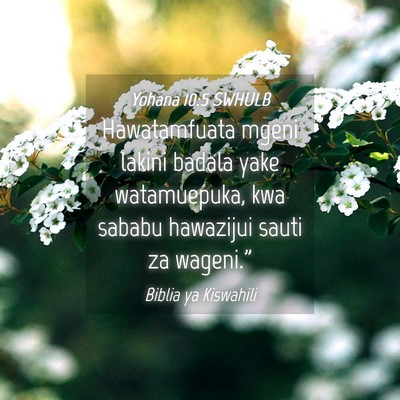 Picture 04 - Yohana 10:5 SWHULB - Hawatamfuata mgeni lakini badala yake - Bible Verse Picture