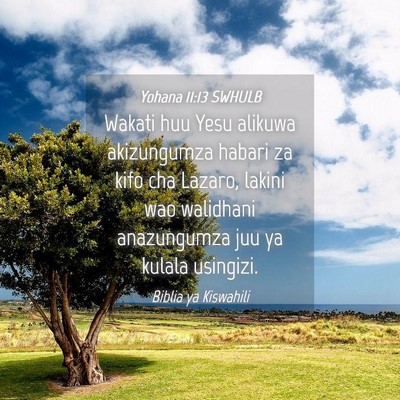 Picture 04 - Yohana 11:13 SWHULB - Wakati huu Yesu alikuwa akizungumza habari za - Bible Verse Picture