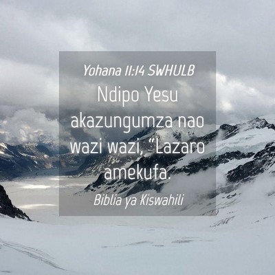 Picture 04 - Yohana 11:14 SWHULB - Ndipo Yesu akazungumza nao wazi wazi, “Lazaro - Bible Verse Picture