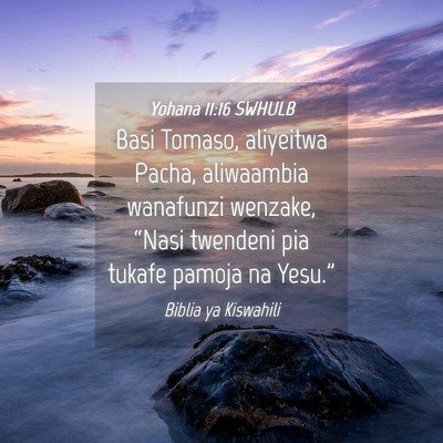 Picture 04 - Yohana 11:16 SWHULB - Basi Tomaso, aliyeitwa Pacha, aliwaambia - Bible Verse Picture