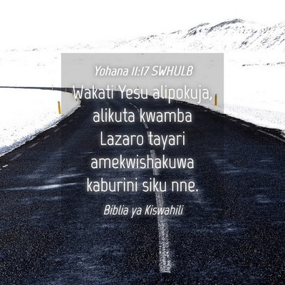 Picture 04 - Yohana 11:17 SWHULB - Wakati Yesu alipokuja, alikuta kwamba Lazaro - Bible Verse Picture