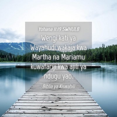 Picture 04 - Yohana 11:19 SWHULB - Wengi kati ya Wayahudi wakaja kwa Martha na - Bible Verse Picture