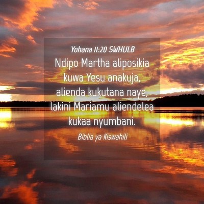 Picture 04 - Yohana 11:20 SWHULB - Ndipo Martha aliposikia kuwa Yesu anakuja, - Bible Verse Picture