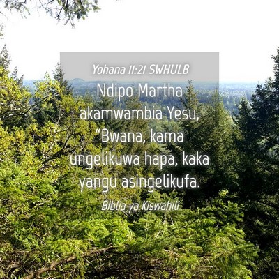 Picture 04 - Yohana 11:21 SWHULB - Ndipo Martha akamwambia Yesu, “Bwana, kama - Bible Verse Picture