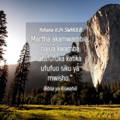 Picture 04 - Yohana 11:24 SWHULB - Martha akamwambia, najua kwamba atafufuka katika - Bible Verse Picture