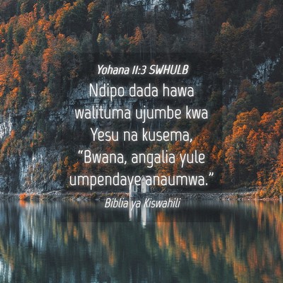 Picture 04 - Yohana 11:3 SWHULB - Ndipo dada hawa walituma ujumbe kwa Yesu na - Bible Verse Picture