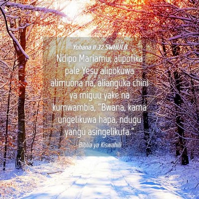 Picture 04 - Yohana 11:32 SWHULB - Ndipo Mariamu, alipofika pale Yesu alipokuwa - Bible Verse Picture