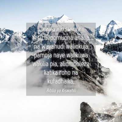 Picture 04 - Yohana 11:33 SWHULB - Yesu alipomuona analia, na Wayahudi waliokuja - Bible Verse Picture