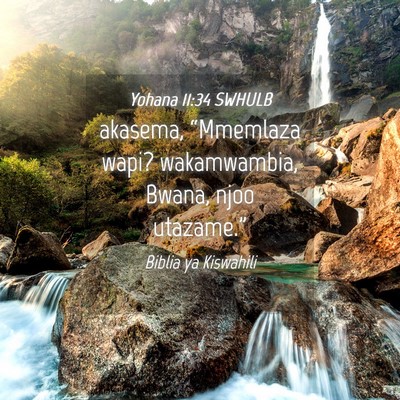 Picture 04 - Yohana 11:34 SWHULB - akasema, “Mmemlaza wapi? wakamwambia, Bwana, - Bible Verse Picture