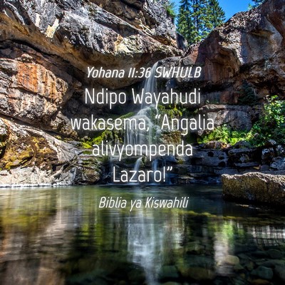 Picture 04 - Yohana 11:36 SWHULB - Ndipo Wayahudi wakasema, “Angalia alivyompenda - Bible Verse Picture