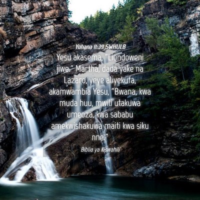 Picture 04 - Yohana 11:39 SWHULB - Yesu akasema, “Liondoweni jiwe.” Martha, dada - Bible Verse Picture