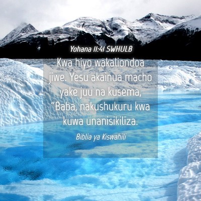 Picture 04 - Yohana 11:41 SWHULB - Kwa hiyo wakaliondoa jiwe. Yesu akainua macho - Bible Verse Picture