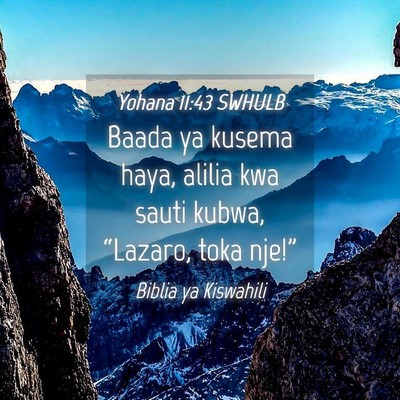 Picture 04 - Yohana 11:43 SWHULB - Baada ya kusema haya, alilia kwa sauti kubwa, - Bible Verse Picture