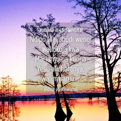 Picture 04 - Yohana 11:45 SWHULB - Ndipo Wayahudi wengi waliokuja kwa Mariamu na - Bible Verse Picture