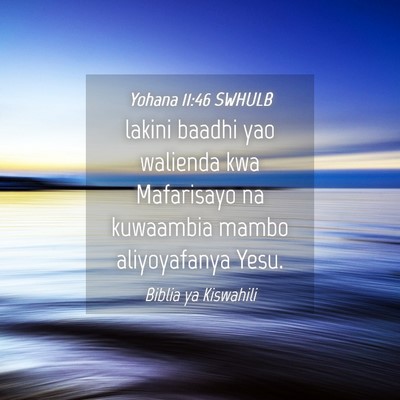 Picture 04 - Yohana 11:46 SWHULB - lakini baadhi yao walienda kwa Mafarisayo na - Bible Verse Picture