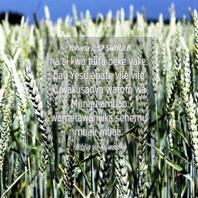 Picture 04 - Yohana 11:52 SWHULB - na si kwa taifa peke yake, bali Yesu apate vile - Bible Verse Picture