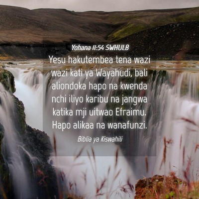 Picture 04 - Yohana 11:54 SWHULB - Yesu hakutembea tena wazi wazi kati ya Wayahudi, - Bible Verse Picture
