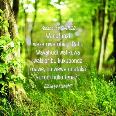 Picture 04 - Yohana 11:8 SWHULB - Wanafunzi wakamwambia, “Rabi, Wayahudi walikuwa - Bible Verse Picture