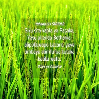 Picture 04 - Yohana 12:1 SWHULB - Siku sita kabla ya Pasaka, Yesu alienda Bethania, - Bible Verse Picture