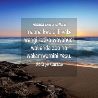 Picture 04 - Yohana 12:11 SWHULB - maana kwa ajili yake wengi katika Wayahudi - Bible Verse Picture