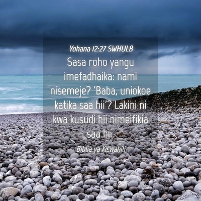 Picture 04 - Yohana 12:27 SWHULB - Sasa roho yangu imefadhaika: nami nisemeje? - Bible Verse Picture