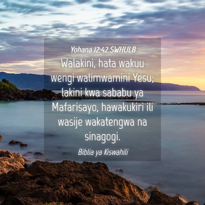 Picture 04 - Yohana 12:42 SWHULB - Walakini, hata wakuu wengi walimwamini Yesu; - Bible Verse Picture