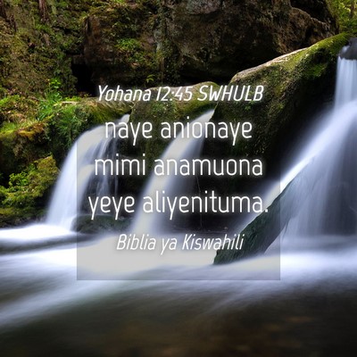 Picture 04 - Yohana 12:45 SWHULB - naye anionaye mimi anamuona yeye - Bible Verse Picture